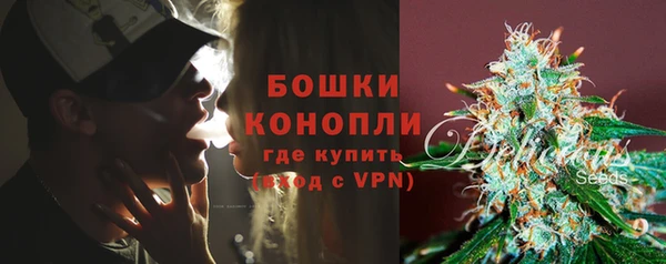 гидра Наволоки