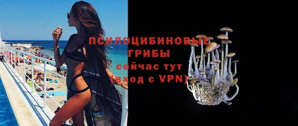 гидра Наволоки