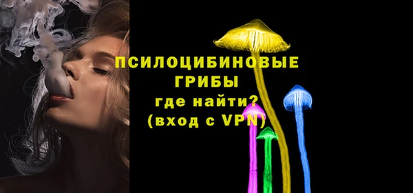 гидра Наволоки