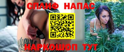 PSILOCYBIN Новозыбков