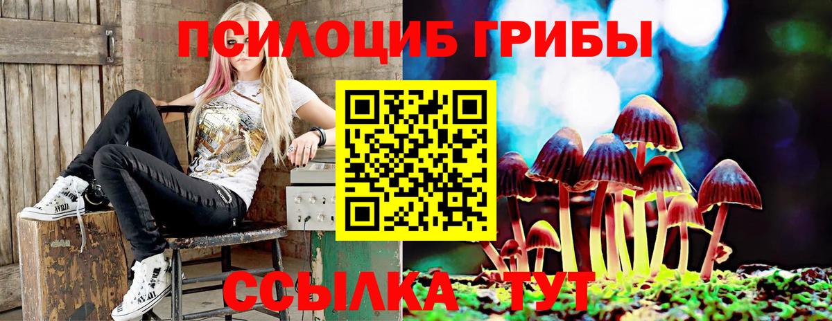 Галлюциногенные грибы Cubensis Орск