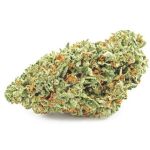 Шишки OG Kush  (Гидропоника, бошки) VHQ в Орске